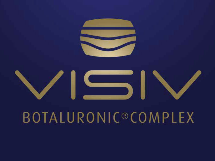 Ideazione naming e brand logo Visiv